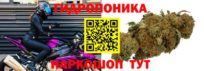 СК Кунгур