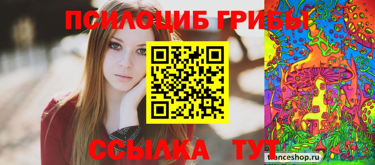 Киселёвск  дарнет шоп  Вход с VPN  Галлюциногенные грибы MAGIC MUSHROOMS 