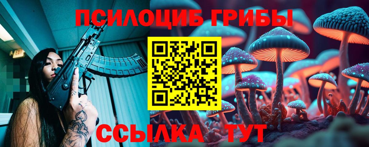 Псилоцибиновые грибы ЛСД Киселёвск