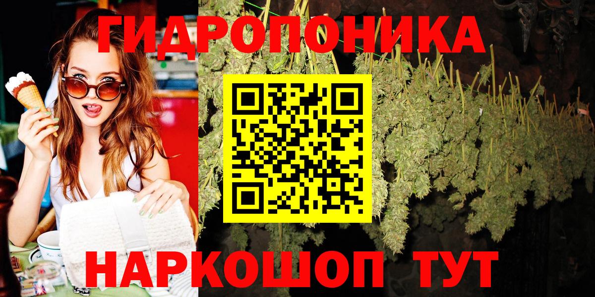 Марихуана OG Kush Киселёвск
